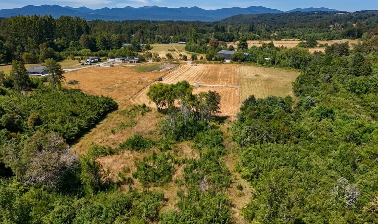 Parcela Bosque & Estero (5.000m²) - imagen 1