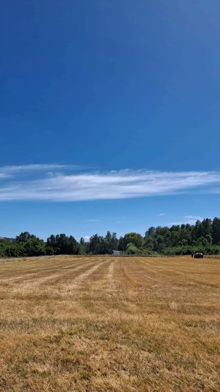 Parcela Panguipulli Ruta T-391 (6.500m²) - imagen 6