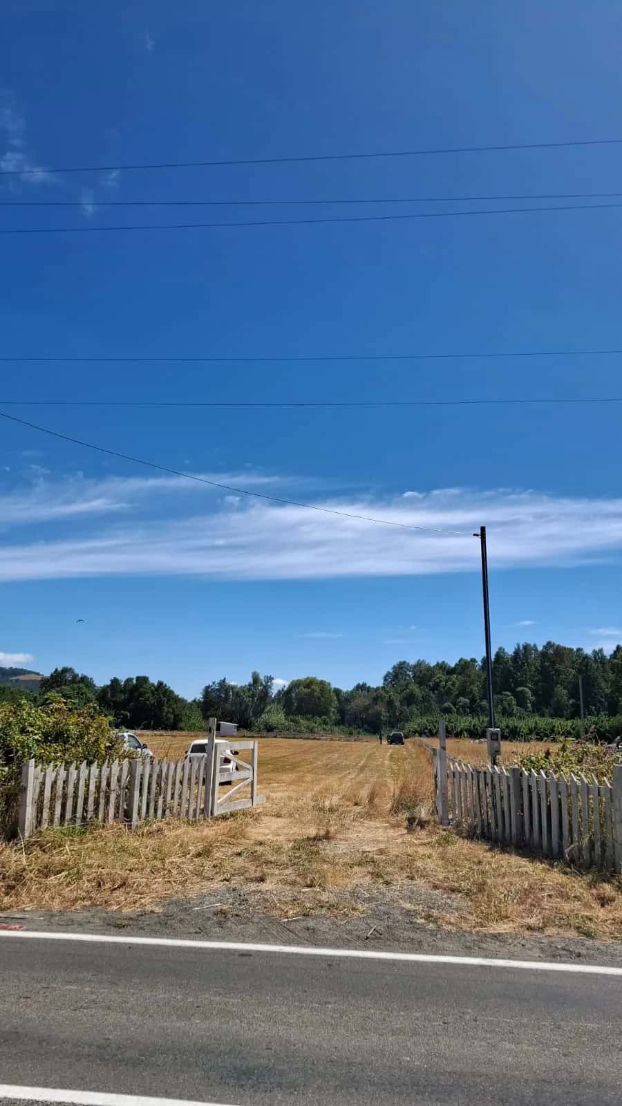 Parcela Panguipulli Ruta T-391 (6.500m²) - imagen 4