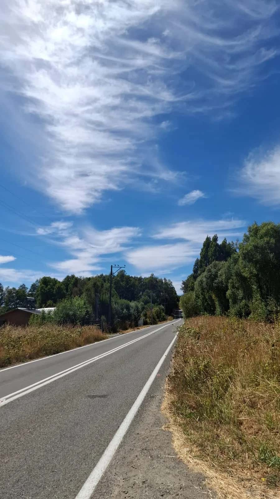 Parcela Panguipulli Ruta T-391 (6.500m²) - imagen 3