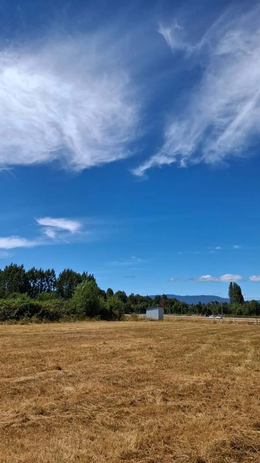 Parcela Panguipulli Ruta T-391 (6.500m²) - imagen 8