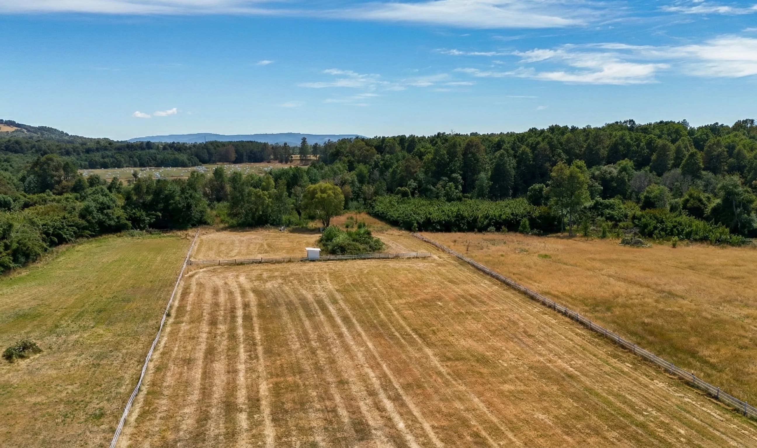 Parcela Panguipulli Ruta T-391 (6.500m²)