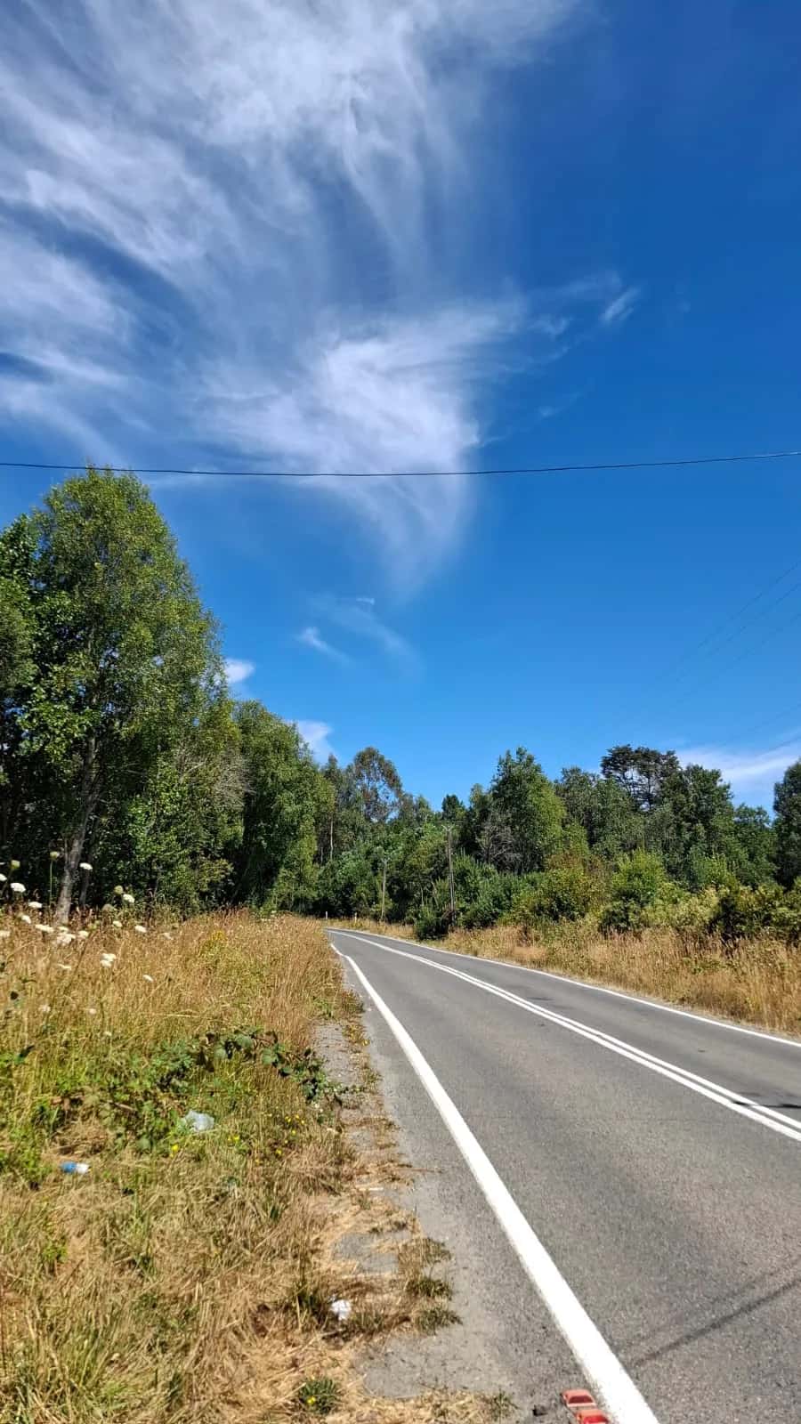 Parcela Panguipulli Ruta T-391 (6.500m²) - imagen 5