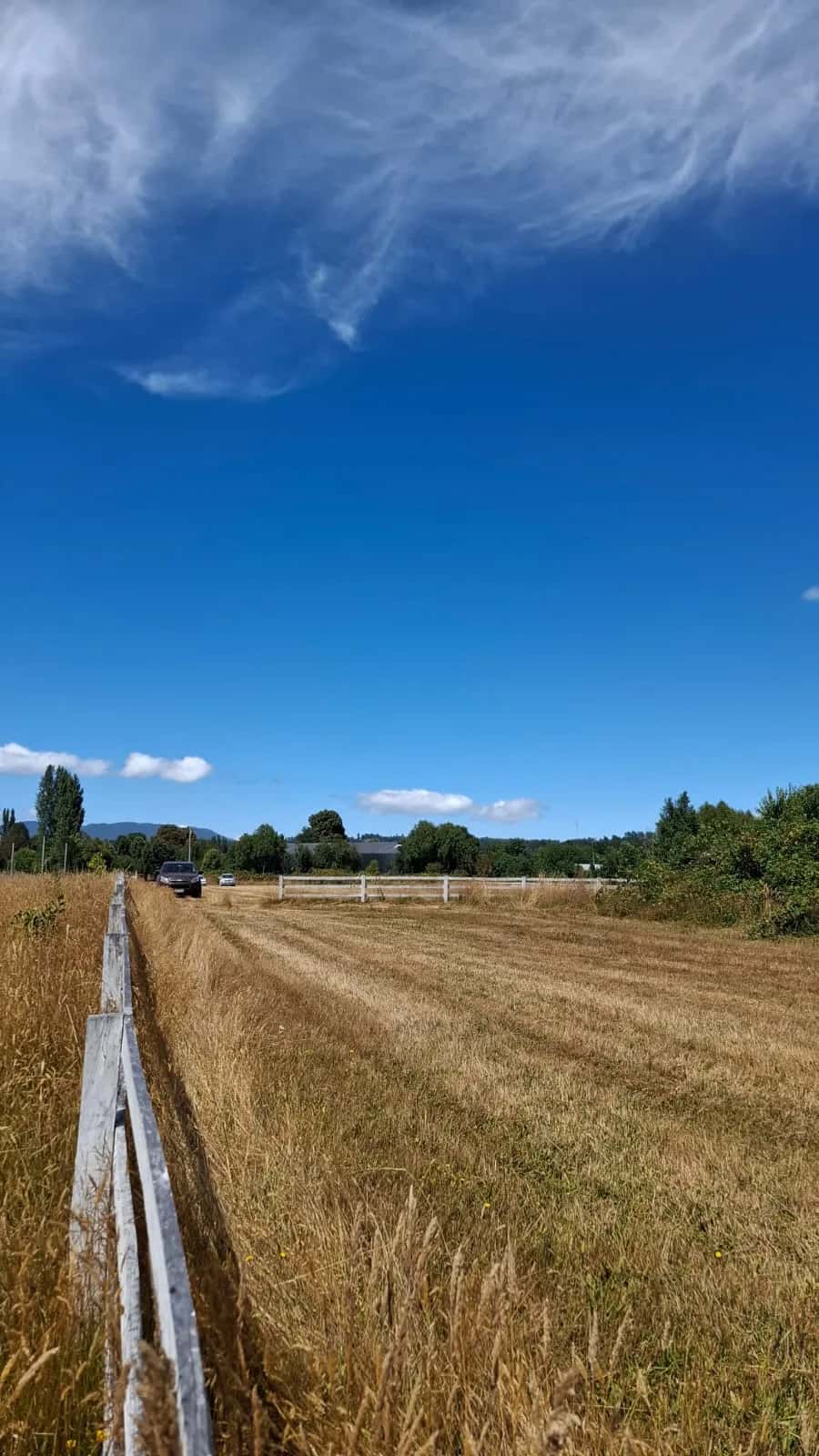 Parcela Bosque & Estero (5.000m²) - imagen 8