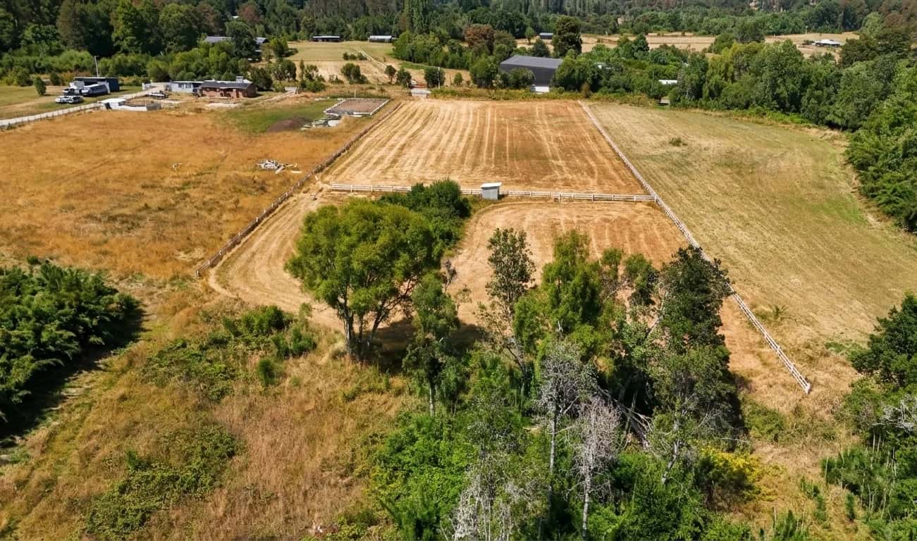 Parcela Bosque & Estero (5.000m²) - imagen 2