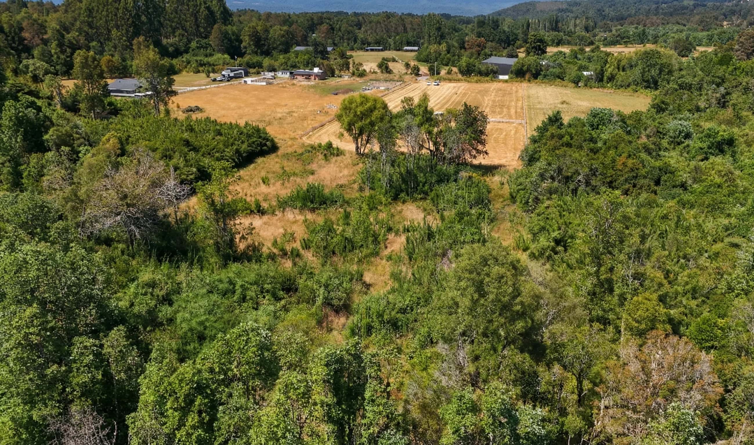 Parcela Bosque & Estero (5.000m²) - imagen 11